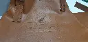 20221016_111624.webp