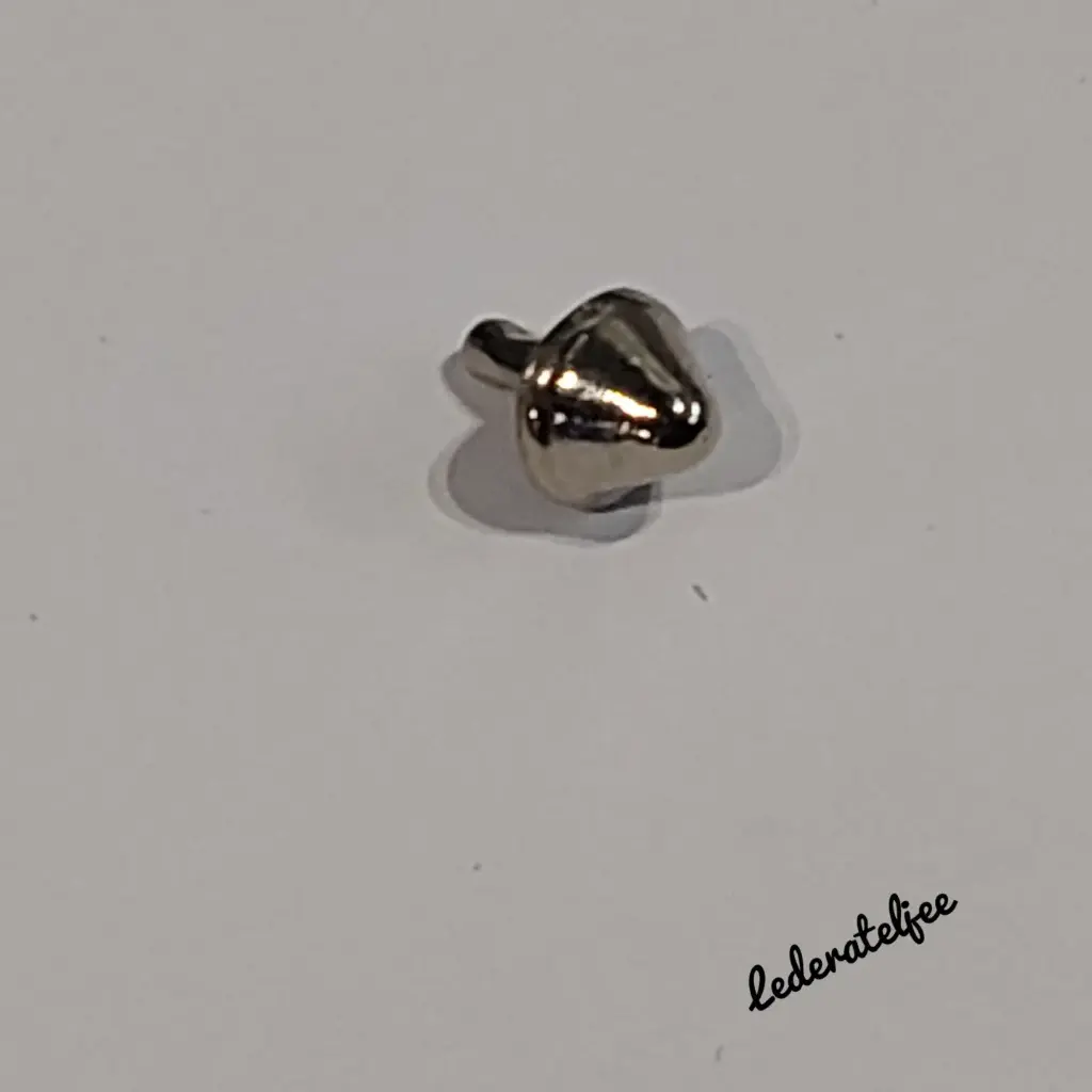 P61 Pootjes Nikkel