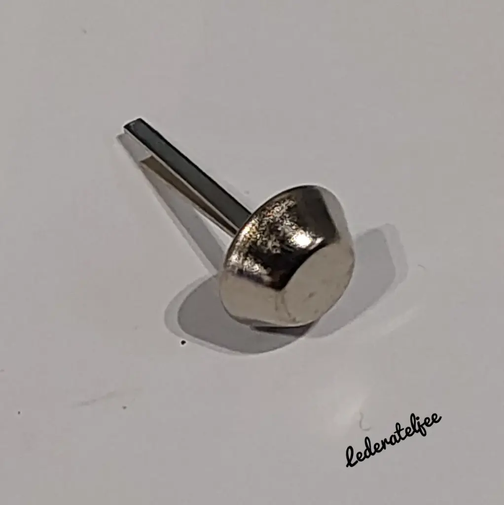 P57 Pootje Nikkel