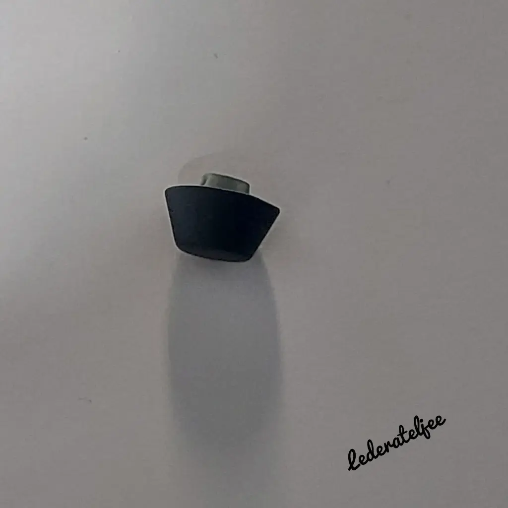 P66 Pootje met schroef Zwart