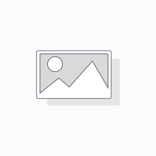 Clipboard clip